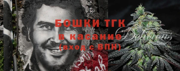 амф Вяземский