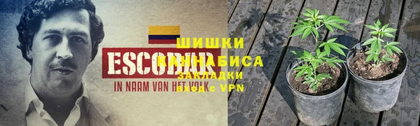 мет Кизел