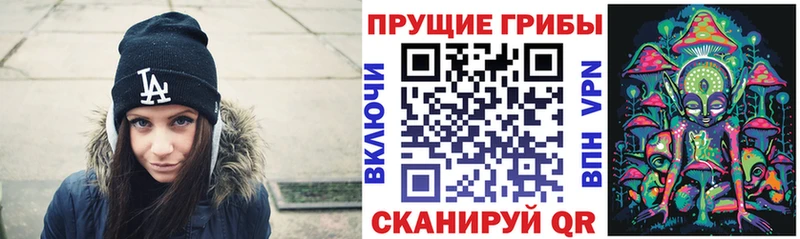 где найти   Обоянь  Псилоцибиновые грибы прущие грибы 